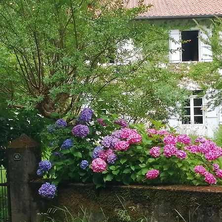 Demeure De Charme Pour 9 Personnes * Sainte Marie de Gosse